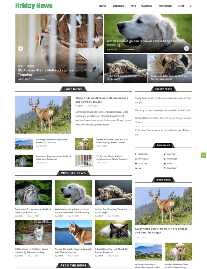News & Magazine Website
